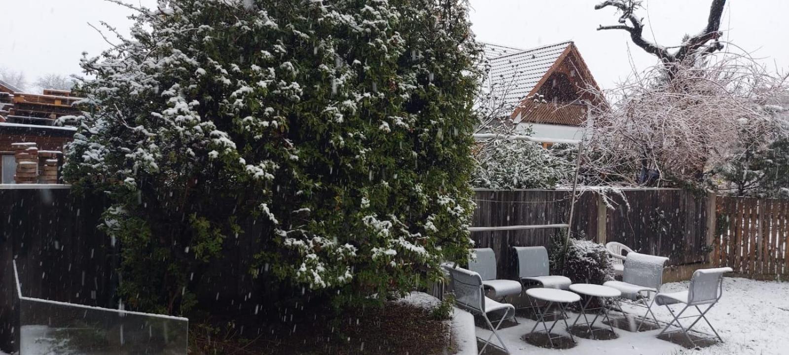 Villa Scs Naehe Wiener Neudorf Buitenkant foto